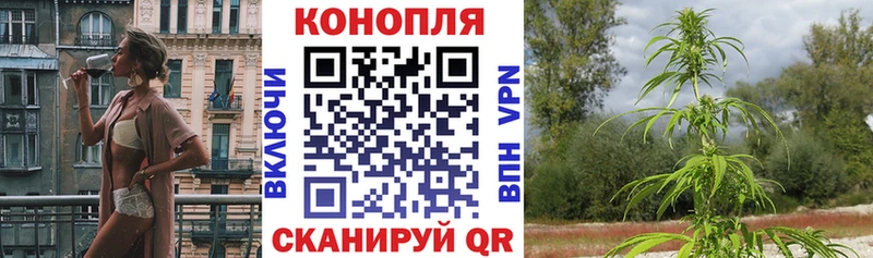 Каннабис SATIVA & INDICA  Энгельс 